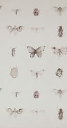 Papel de Parede | REF: 18433