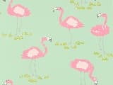 Papel de Parede | REF: Felicity Flamingo 111278