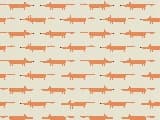 Papel de Parede | REF: Little Fox Ginger 111285
