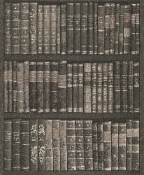 Papel de Parede | REF: 525823