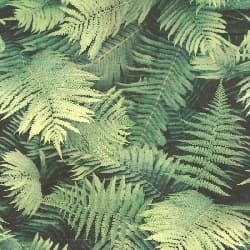 Papel de Parede | REF: 860917