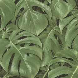 Papel de Parede | REF: 441802