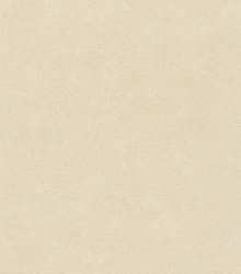 Papel de Parede | REF: 445824